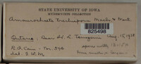 Image Associated With the Occurence